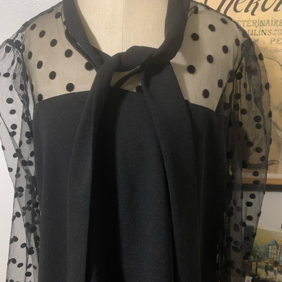 Shein Curve Black Dress Sheer Polka Dot Sleeves - Picture 12 of 14